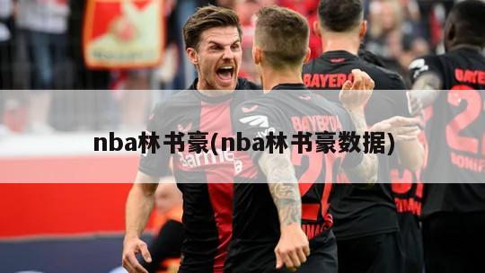 nba林书豪(nba林书豪数据)