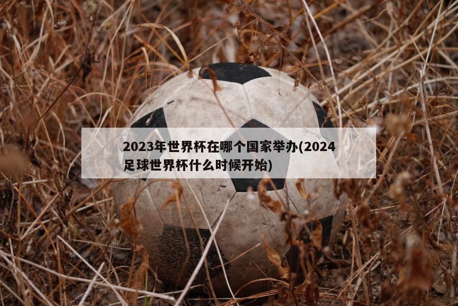 2023年世界杯在哪个国家举办(2024足球世界杯什么时候开始)